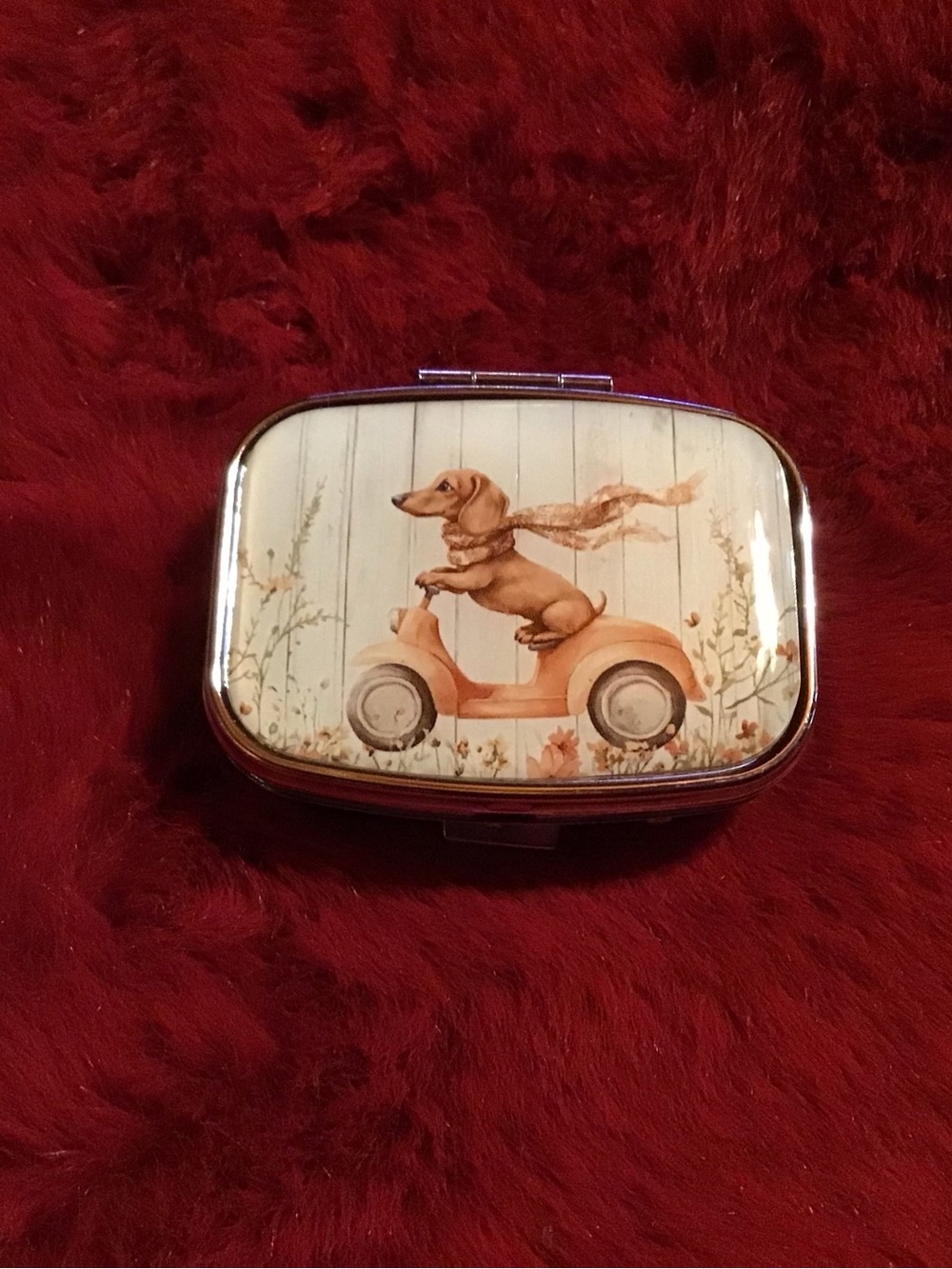 Dog Scooter mint or pill  Box - Cream and Orange Dachshund Design